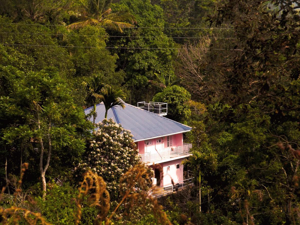 Drizzle Valley Cottage Муннар Екстер'єр фото